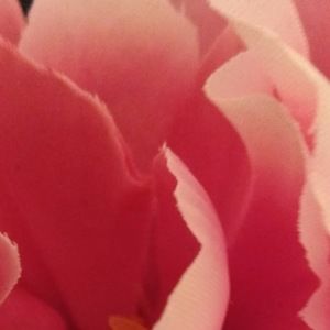 Meet your Posher, Belinda